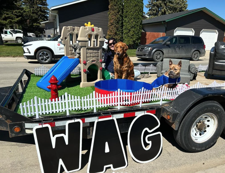 Wag 80