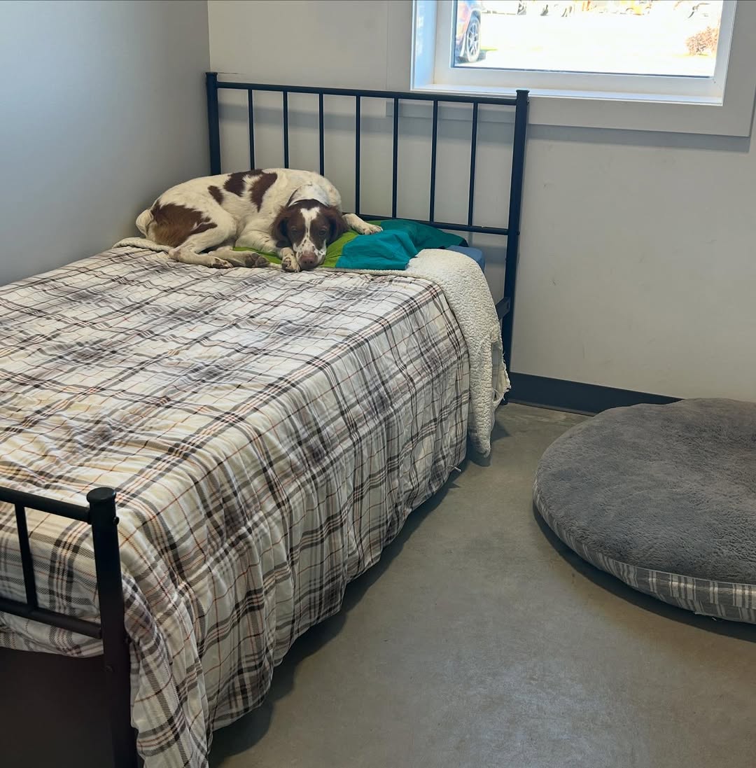 A snoooozy pupperoni on this lovely morning!