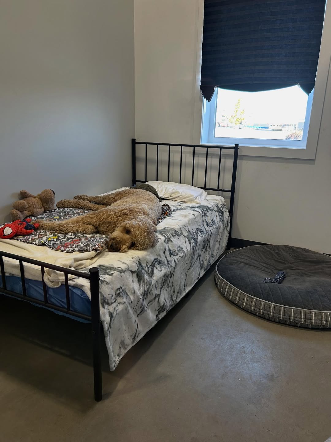 Rainy days and cozy snoozies