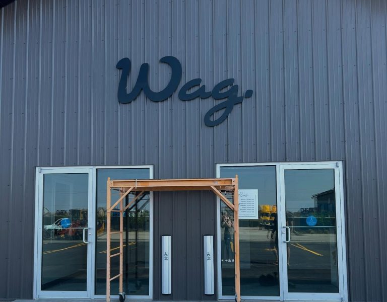 Wag New Space 2